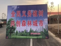 今天你植树了吗？