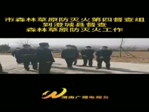 市森林草原防灭火第四督查组到澄城县督查森林草原防灭火工作
