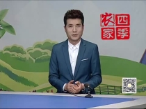 3月20日《农家四季》带您了解白水苹果如何利用高科技生产种植