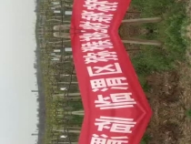 无人机助力猕猴桃防寒抗冻