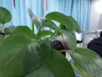 借钱给别人，却受到一万点伤害……究竟是怎么回事呢？