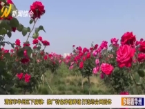 渭南市华州区下庙镇：推广特色种植养殖  打造综合田园体