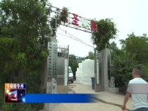 渭南市华州区：黄金蟠桃新鲜上市  电商销售推广各地