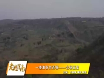 北杨豆腐