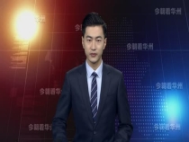 渭南市华州区：香甜红柿映冬日  增添美丽乡村景