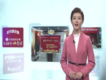 0113期彩市朋友圈
