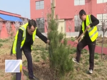 一年一度植树节 我为城市“披绿衣”