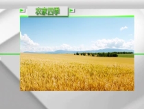 【我和天福樱花的故事】 杨武庆：老杨两口子的“阳光”生活
