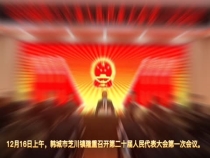 韩城市芝川镇第二十届人民代表大会第一次会议顺利召开