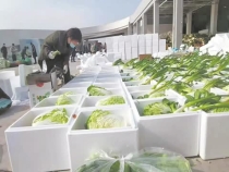 这“篮”菜装满了渭南人的深情厚谊
