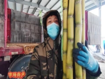 买年货 到大红 你想要的啥都有！