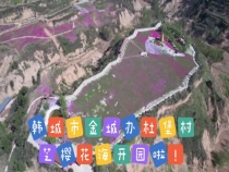 漫步韩城金城办杜堡村 邂逅最美的人间四月天