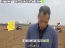 渭南市农技中心提示：大豆玉米带状复合种植技术要点