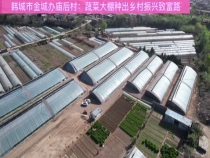 韩城市金城办庙后村：蔬菜大棚种出乡村振兴致富路
