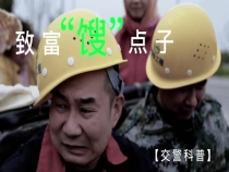 致富“馊”点子（下） 致富一定走正道 “馊”点子害人要不得 农用车载人隐患大 农民朋友要牢记