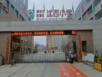 “沋”你的陪伴