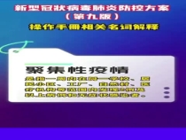 新型冠状病毒肺炎防控方案（第九版）操作手册相关名词解释