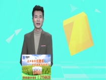 蒲城县龙阳镇：“一会一室两小组” 让乡村治理更“智理”