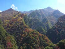 少华山国家森林公园：红叶似丹 秋景如画