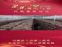 【农家四季】两会特别报道  专访市政协委员  姚军峰