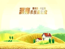 早春茬辣椒管理技术