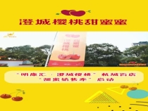 “明康汇·澄城樱桃”杭城百店“甜蜜销售季”启动