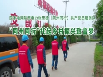 “光明耀秦东 党旗分外红”融媒报道第九期： “同州同行”托起乡村振兴致富梦