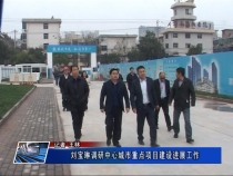 刘宝琳调研中心城市重点项目建设工作