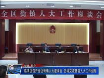 临渭区召开全区街镇人大座谈会 总结交流基层人大工作经验
