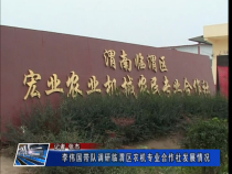 李伟国带队调研临渭区农机专业合作社发展情况