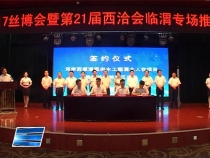 临渭区召开第21届西洽会专场推介会 签约13个项目揽金91亿元