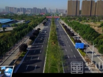 临渭区：“四纵四横”道路绿化将收尾  3000株苗木点亮城市之美
