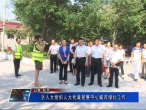 区人大组织人大代表视察中心城市绿化工作