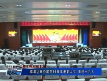 临渭区举办建党96周年表彰大会 喜迎十九大