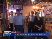 临渭区专项检查全区文化市场安全管理工作