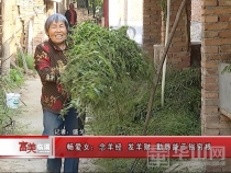 《脱贫攻坚在临渭》畅爱女：念羊经 发羊财 勤恳能干刨穷根