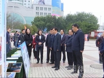 市区两级共同举办2017年“国家扶贫日”脱贫攻坚系列活动