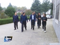区长刘宝琳到站南街道和崇凝镇看望慰问老人