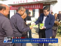 区林业局为阳郭镇大王村贫困群众免费赠送花椒树苗