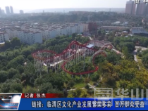 链接：临渭区文化产业发展繁荣多彩 百万群众受益