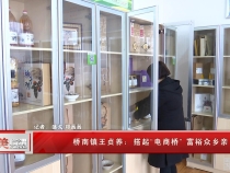 桥南镇王贞养：搭起“电商”桥 富裕众乡亲