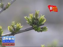 蒲城：植绿栽果“齐步走” 构建绿色文明新蒲城