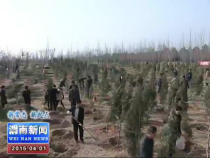 蒲城依托重点工程植绿造林 让身边生态美起来 群众腰包鼓起来
