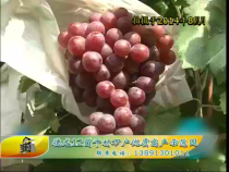 农家超市6月7日