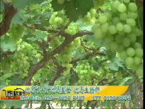 农家超市6月16日