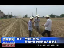 富平：从散户到大户粮食种植管理更细产量更高
