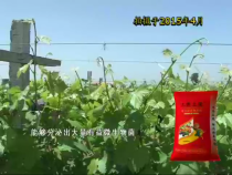 农家超市6月17日