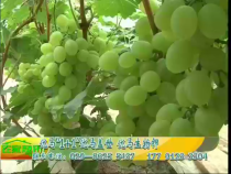 农家超市6月23日