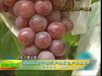 农家超市6月8日