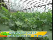 农家超市6月19日